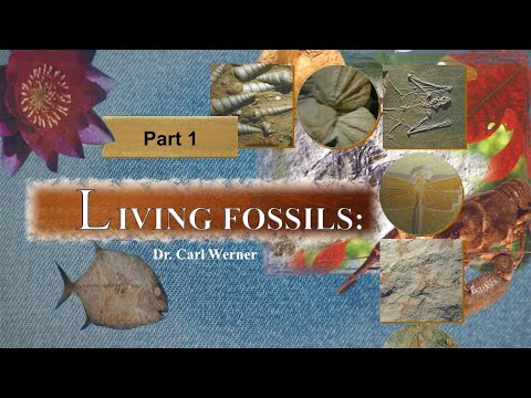 Living Fossils – Dr. Carl Werner, part 1 of 2