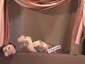 April 5th: Embarrassing Moment Sock Puppet Theater