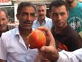 Ali Yaz?l? Domates ?a??rtt? Ali Yaz?l? Domates ?a??rtt?