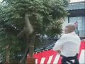 Aikido