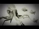 ASICS Onitsuka Tiger Origami History of ASICS | Video 0 ASICS Onitsuka Tiger Origami History of ASICS | Video