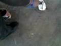 videos de en la lapicera de giovana