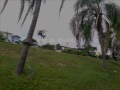 Em sanja, abra a janela do carro!