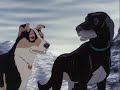 The Plauge Dogs - Dead To The World The Plauge Dogs - Dead To The World