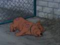 The-Plauge-Dogs-Dead