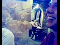 Zoo @ Tequila Bar