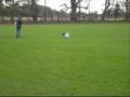 videos de Poppy chases a spaniel 1