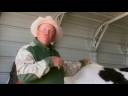 Pregnant Horse Care : Horse Pregnancy Trouble Signs Pregnant Horse Care : Horse Pregnancy Trouble Signs