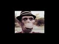 Iggy-Pop-s-Passenger