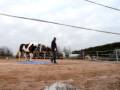 Seance bache -Début1-