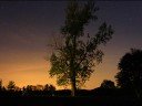 E.W.Korngold - Relax and Retreat E.W.Korngold - Relax and Retreat
