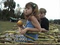 How to make cane syrup How to make cane syrup