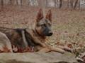 my friend Alero