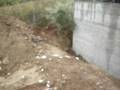 videos de plaka pisina1