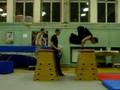 ÃƒÂbel Gym Sampler 2008.jan.