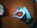 hepsi kalpsizsin kukla eller- hand puppet show