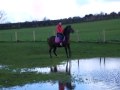 syrah belle;; 26th november 2009