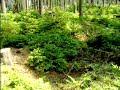 Aufhalter fällen ! Aufhalter fällen !