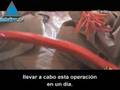 Nuevo video de Al Qaeda en Internet amenaza al mundo occide