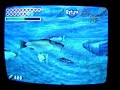 Nintendorks capture the Hylian Loach