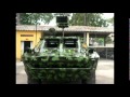 Sức mạnh quân sự Việt Nam 2011 - VietNam people's army