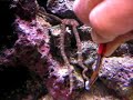 Mi Rinc�n de Mar