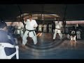 campeonato brasileiro de karate