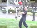 THEBULLYHOUSE.COM BLUE PITBULL PITBULLS WORKING OUT