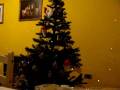 Decorando el �rbol de Navidad