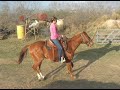 Spaghetti Western.Horse For Sale! Cantering video.See others