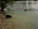 Baignade 2