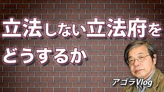 国民の血税を費やして、彼らは何をしているのか?立法しない立法府【アゴラVlog】池田信夫氏