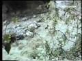 Valtellina Alluvione 1987 (2)