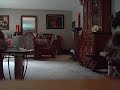 Cat Ambush Cat Ambush