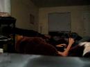trainhorn wake up