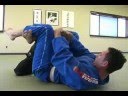 BJJ Blue Belt: Greenaway