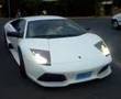 Lamborghini Murcielago lp640 versace in Morocco