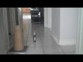 Ninja Beer Comes Closer While Not Moving!