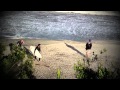 Surfing New Jersey- Hurricane Irene
