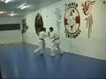 Karate Kyokushinkai: Dureza tradicional