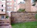 videos de ruben y mono parkour 08