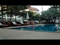 Big Lama.MOV
