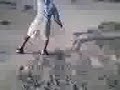 sandboard