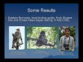mexbirds-sustainable-development-through-birding.html