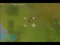 Small screen quality test