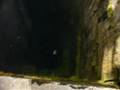 Eureka Mine Shaft