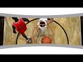 NBA Live 09 PlayStation 3 Trailer - Global Athlete HD