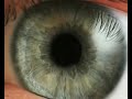 Onde a Ciência eo Budismo Se Encontram - Parte 1