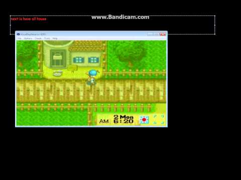 how to put cheats on gpsphone harvest moon