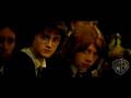  - Piczo Movies Video